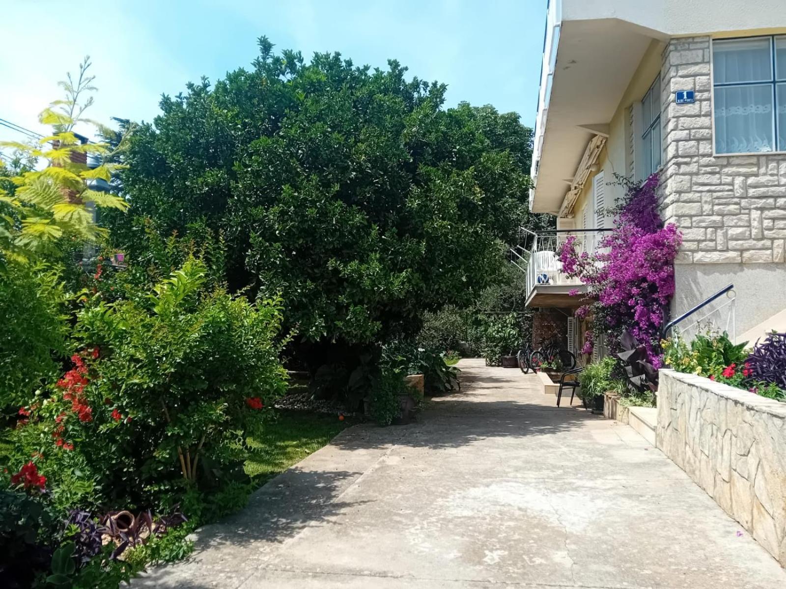 Apartments Angie Zadar Buitenkant foto